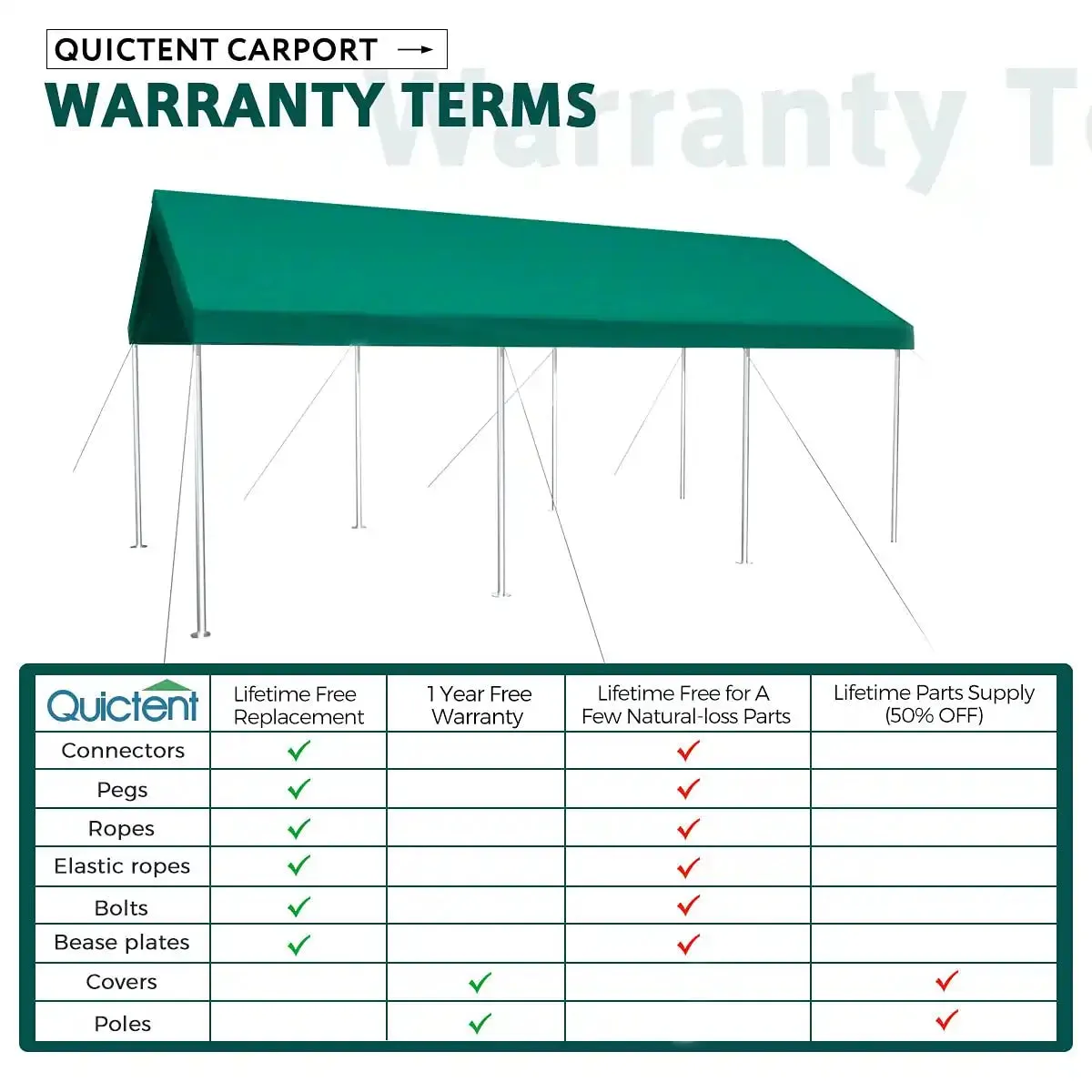 20' x 10' Upgraded Heavy-duty Carport Canopy