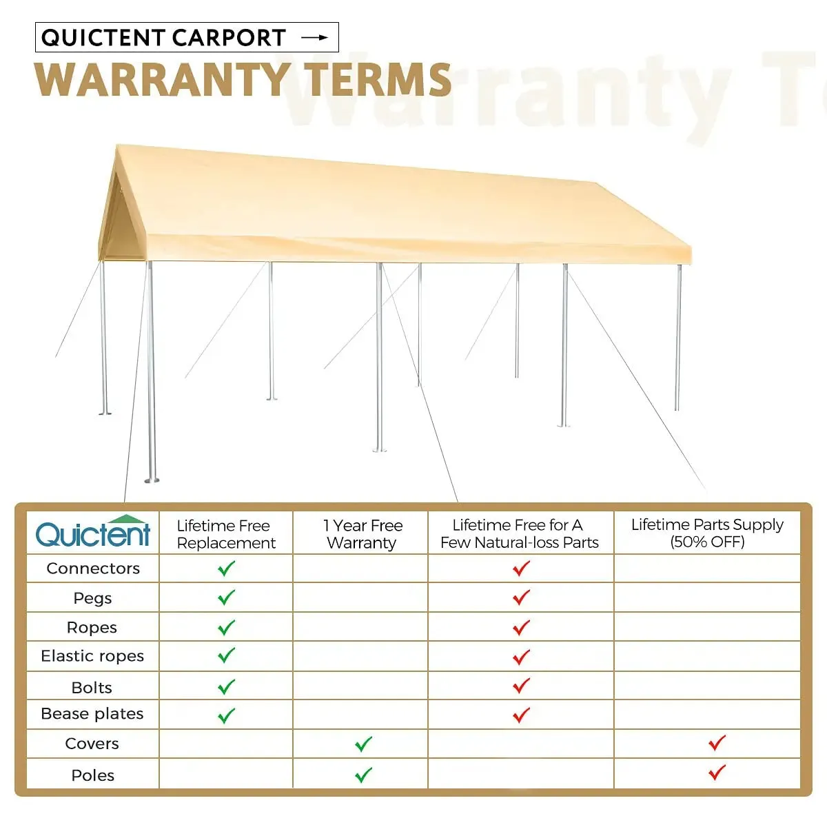 20' x 10' Upgraded Heavy-duty Carport Canopy