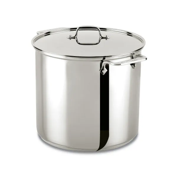 All-Clad 16 Qt Stock Pot with Lid