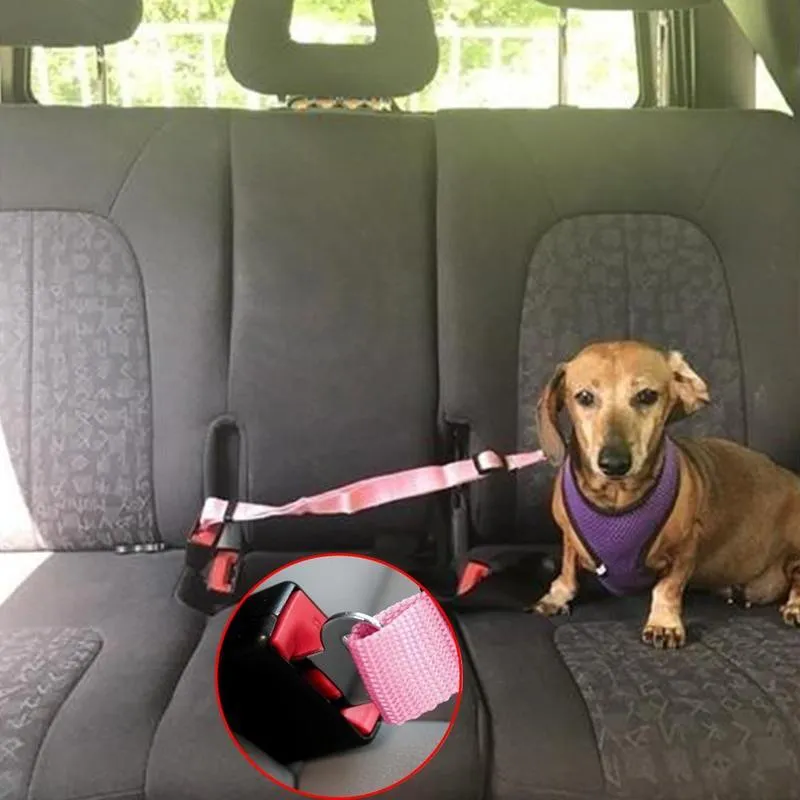 Dog Car Safety Belt