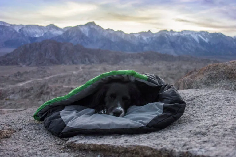 EXPLORER DOGGY SLEEPING BAG