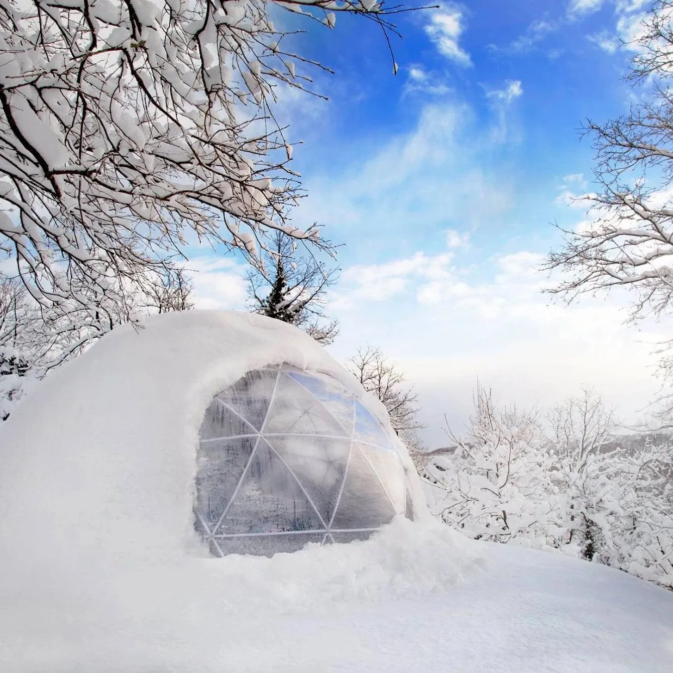 Garden Igloo | Dome, PVC, 11'9"W, 7'2"H - Outdoor Dining, Play Area for Children, Stylish Conservatory, Greenhouse, Gazebo