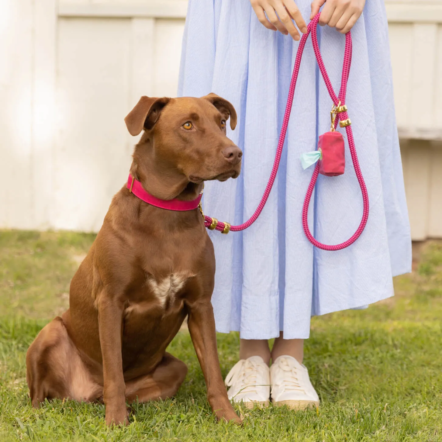 Hot Pink Marine Rope Dog Leash