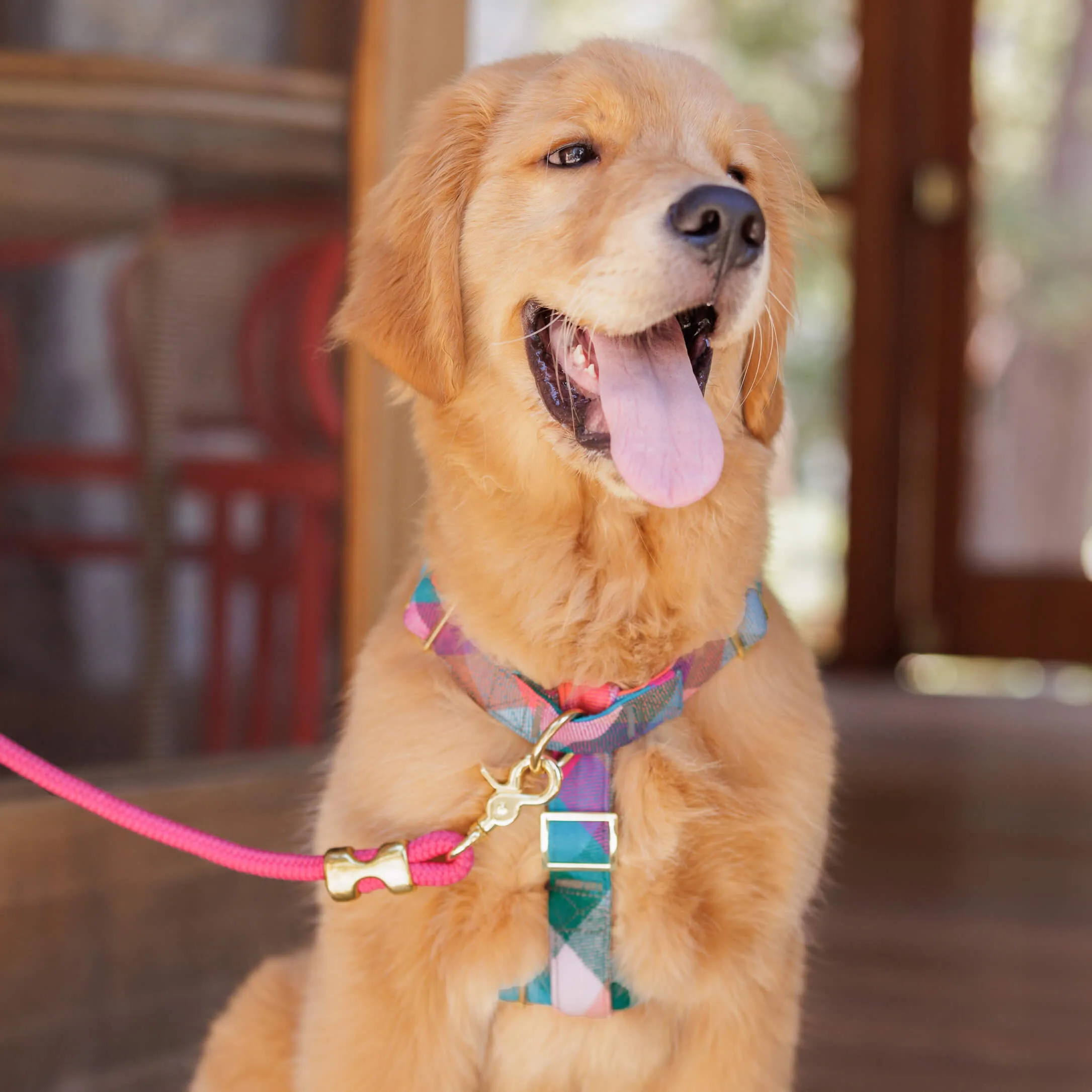 Hot Pink Marine Rope Dog Leash