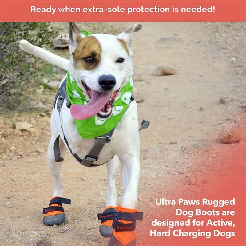 Strong Rugged Dog Shoes