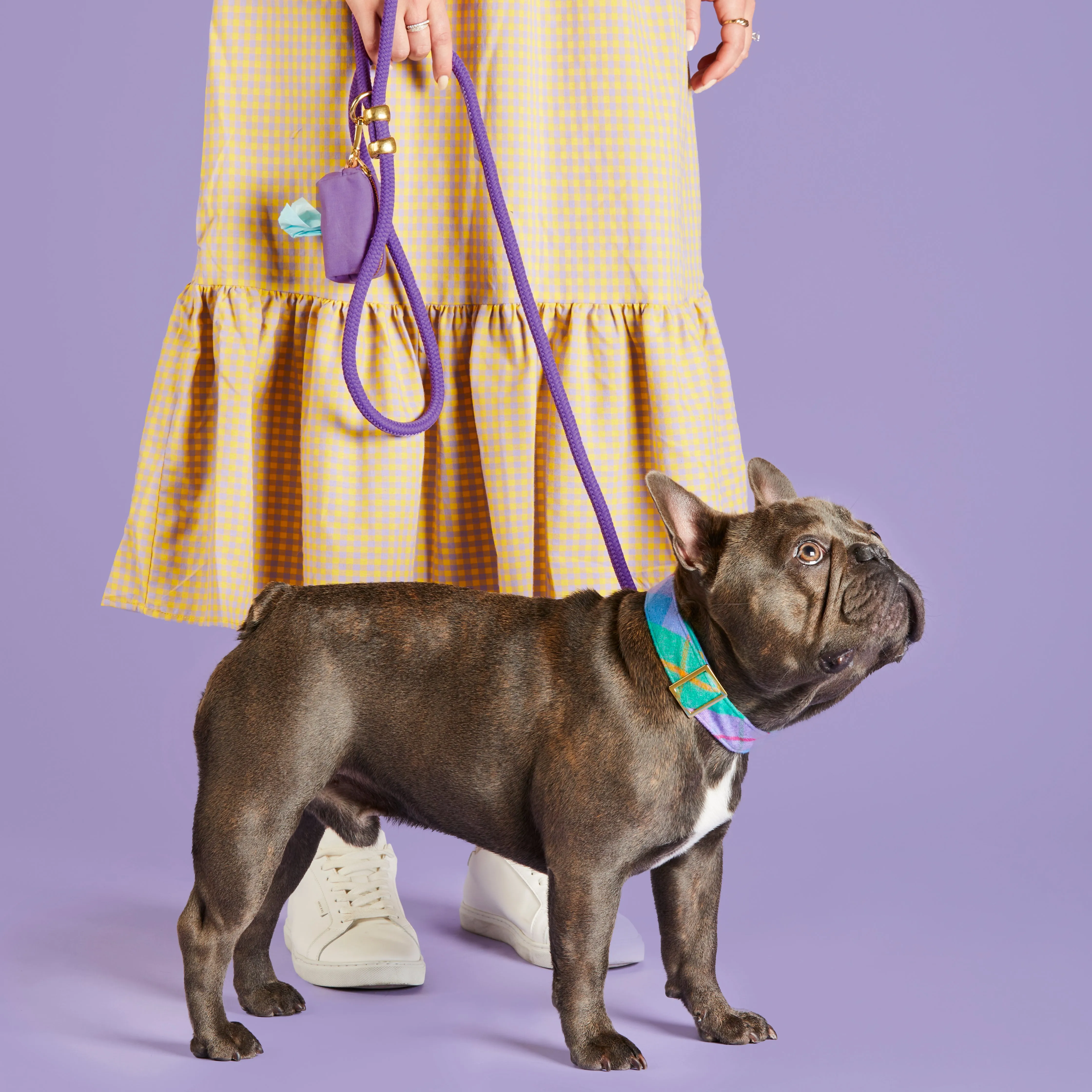 Violet Marine Rope Dog Leash