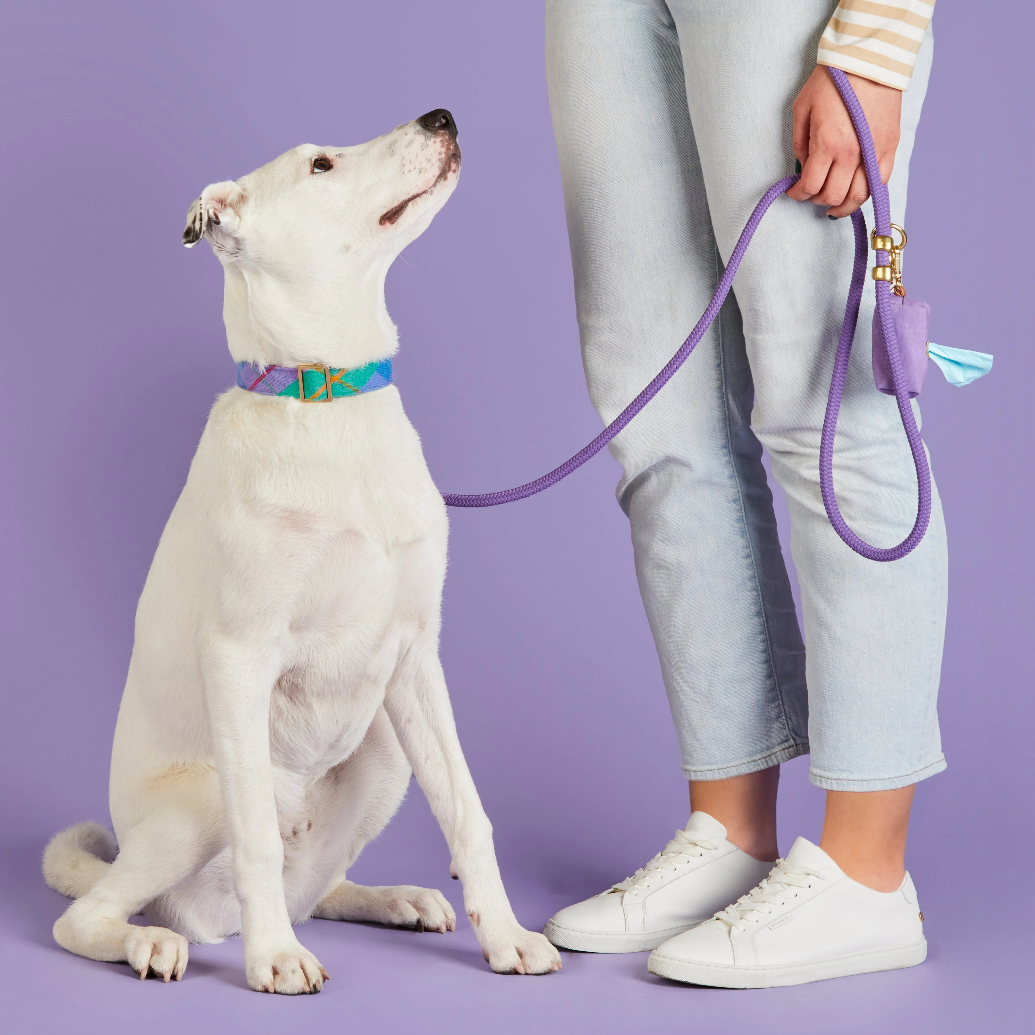 Violet Marine Rope Dog Leash