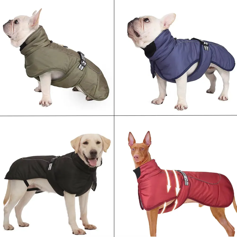 Windproof Jacket for Large Dogs